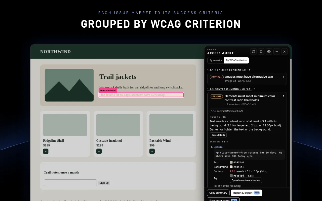 Access Audit results grouped by WCAG success criterion, with the matching element highlighted on the page