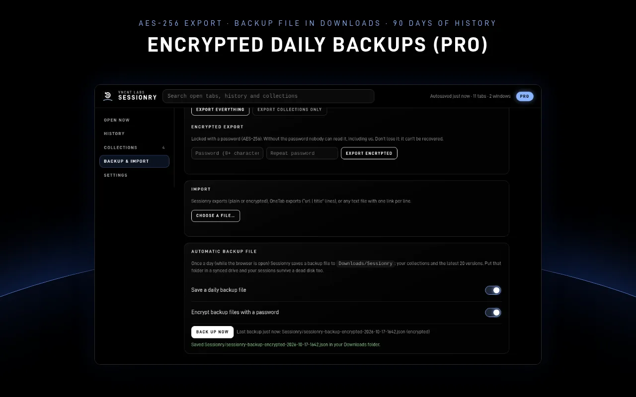 Sessionry Pro encrypted export and daily backup file settings
