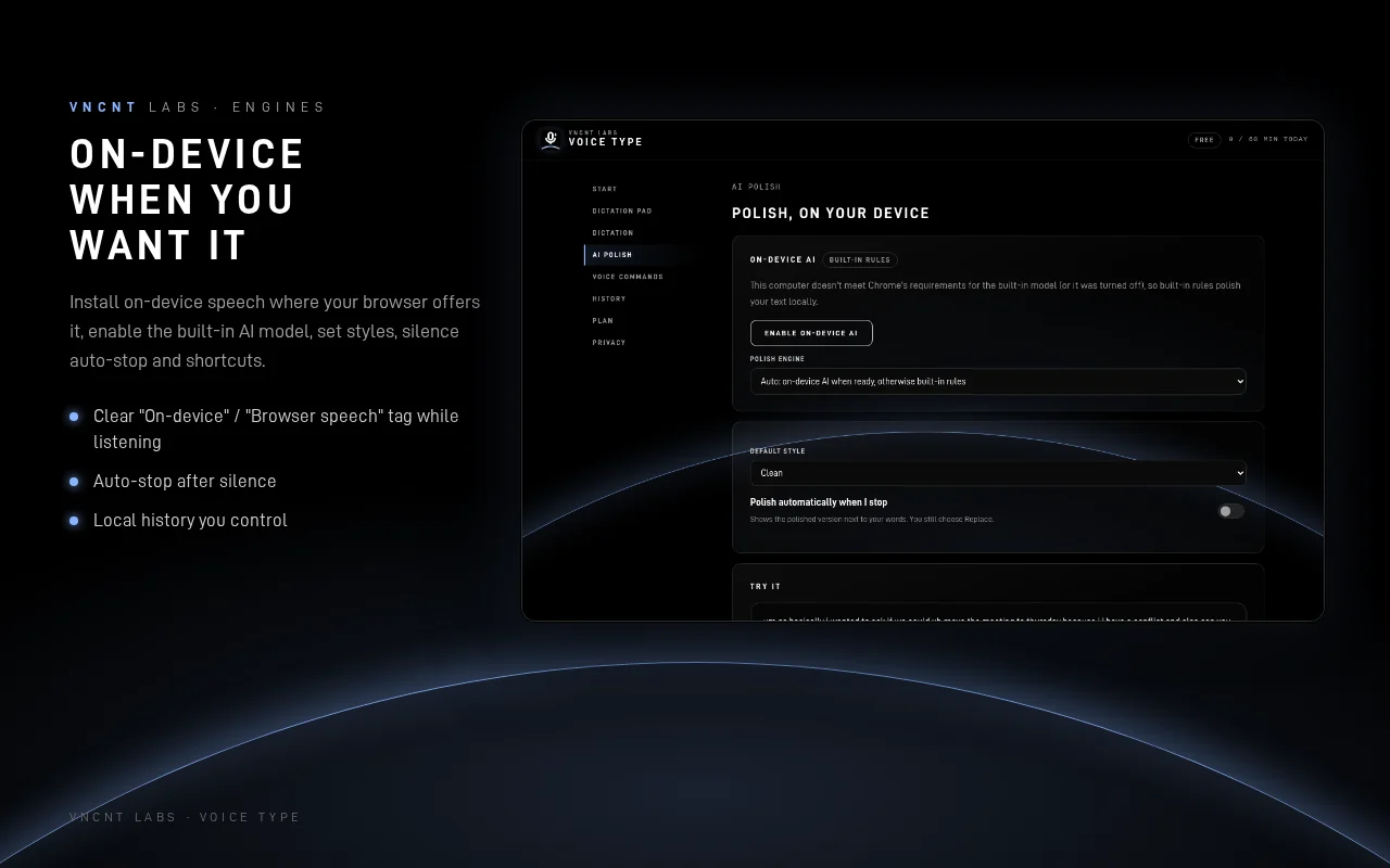 Voice Type settings page for on-device AI polish, with the on-device speech option, polish style and auto-stop settings